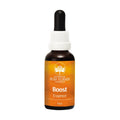 Boost Essence - Remède de soutien personnel