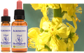 Aigremoine - Aigremoine