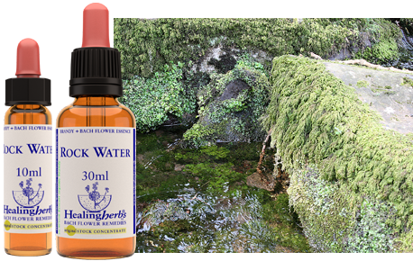 Rock Water - Eau de Roche