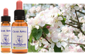 Crab Apple - Pommier sauvage