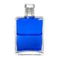B2 La Bouteille de la Paix - Bleu/ Bleu