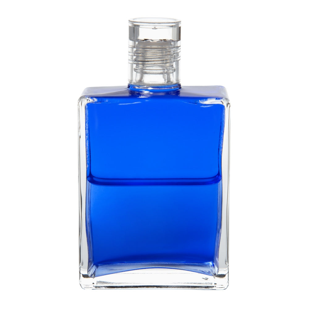 B2 La Bouteille de la Paix - Bleu/ Bleu