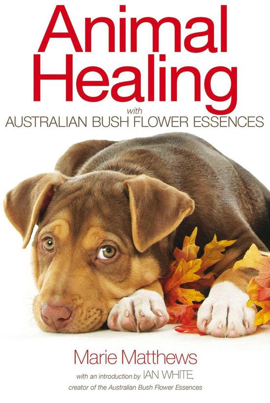 Guérison animale avec les fleurs de Bach australiennes