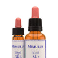 Mimulus - Mimule