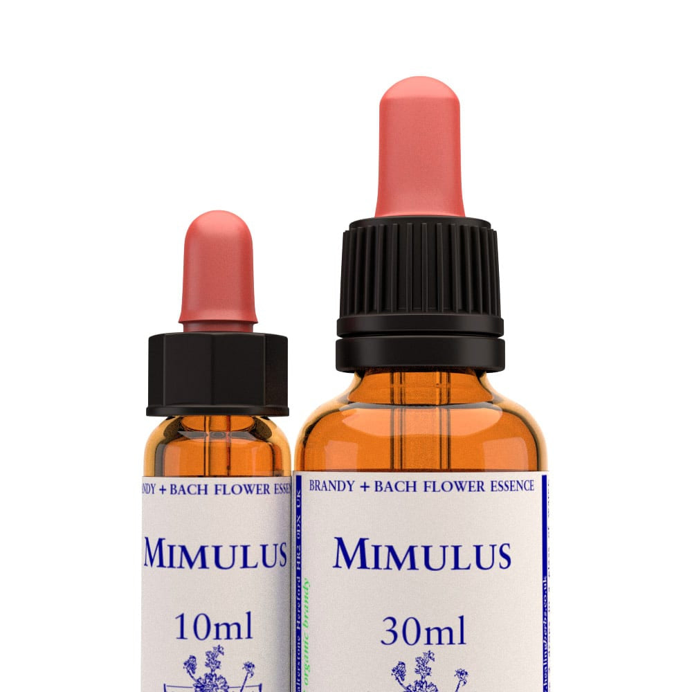 Mimulus - Mimule