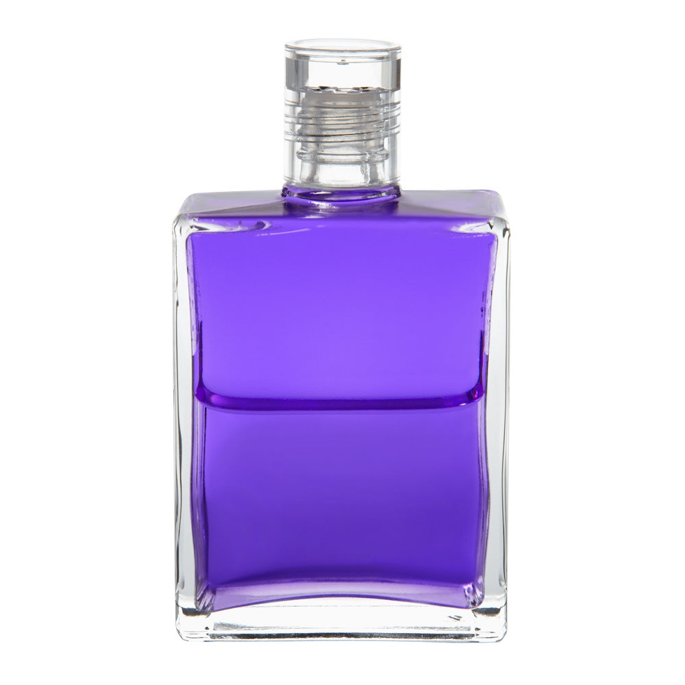 B16 La Robe violette - Violet/ Violet