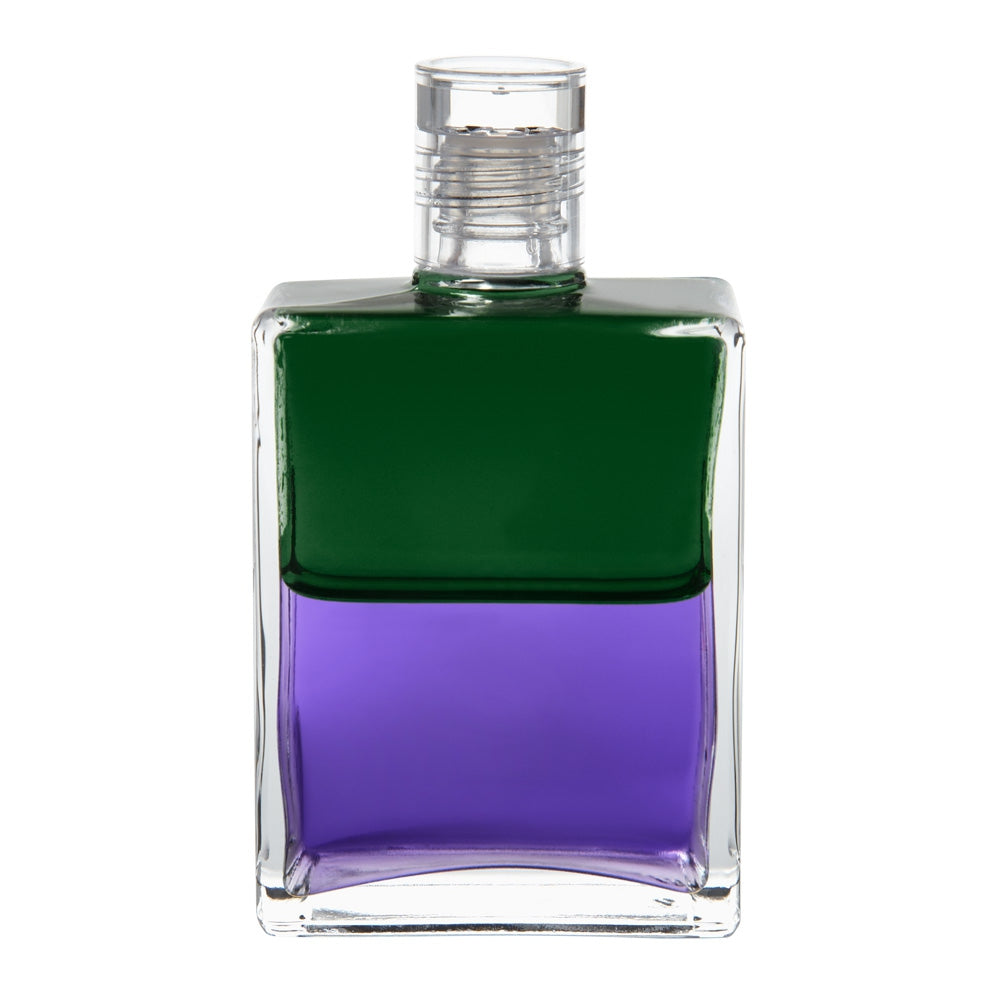 B17 Troubadour 1/ La Bouteille de l'Espoir - Vert/ Violet