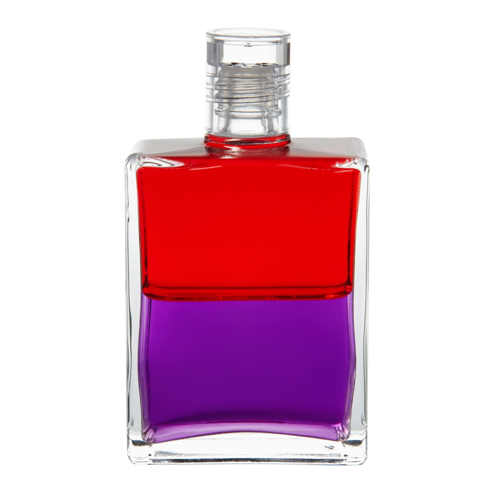 B19 Vivre dans le monde matériel - Rouge/Violet