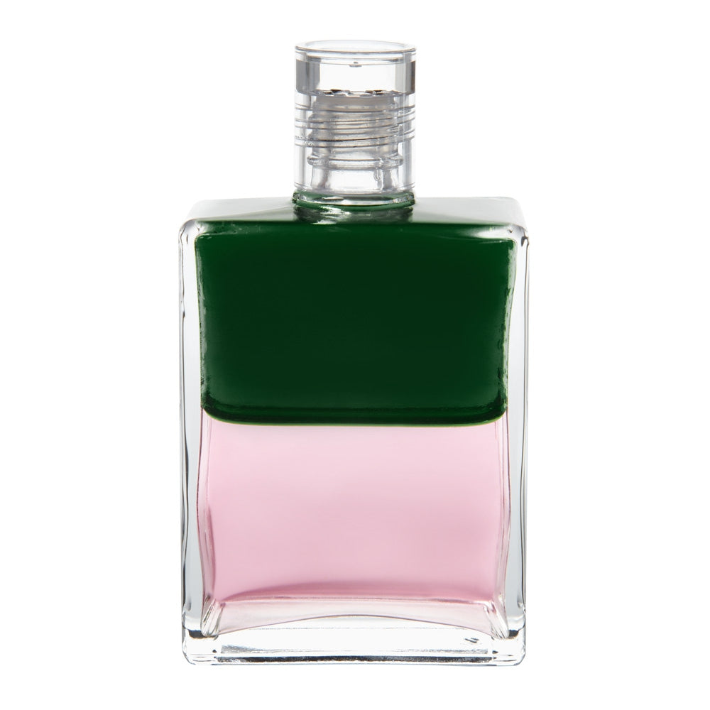 B21 Un nouveau départ pour l'amour - Vert/Rose