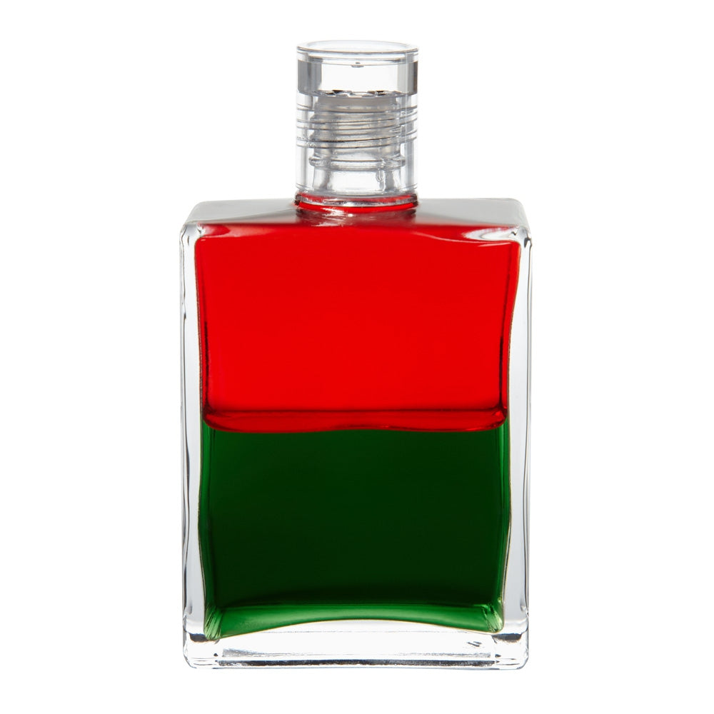 B27 Robin des Bois - Rouge/ Vert