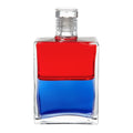 B29 En pleine forme - Rouge/Bleu