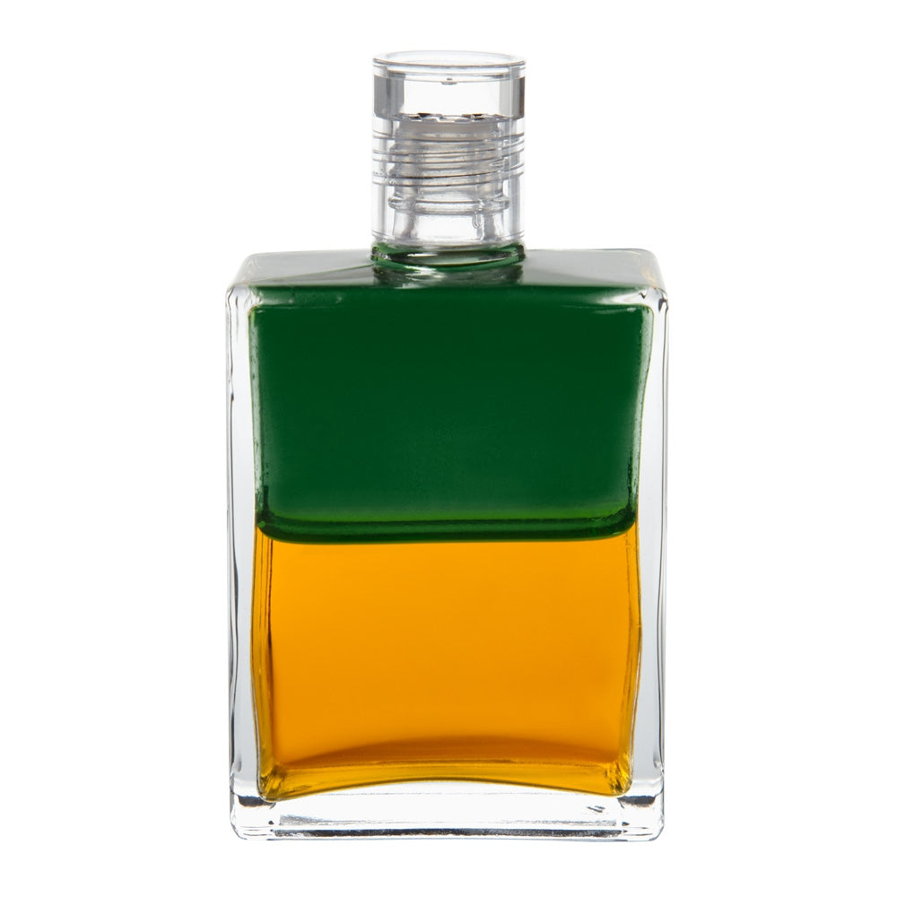 B31 La Fontaine - Vert/Doré