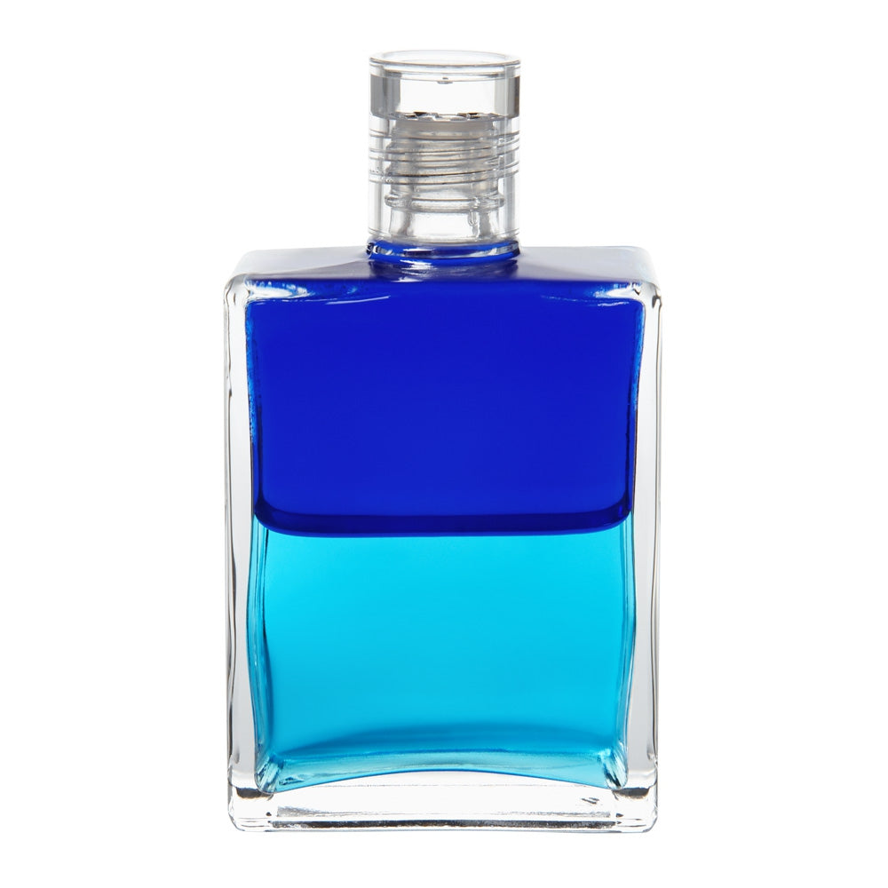 B33 La Bouteille Dauphin - Bleu roi/ Turquoise