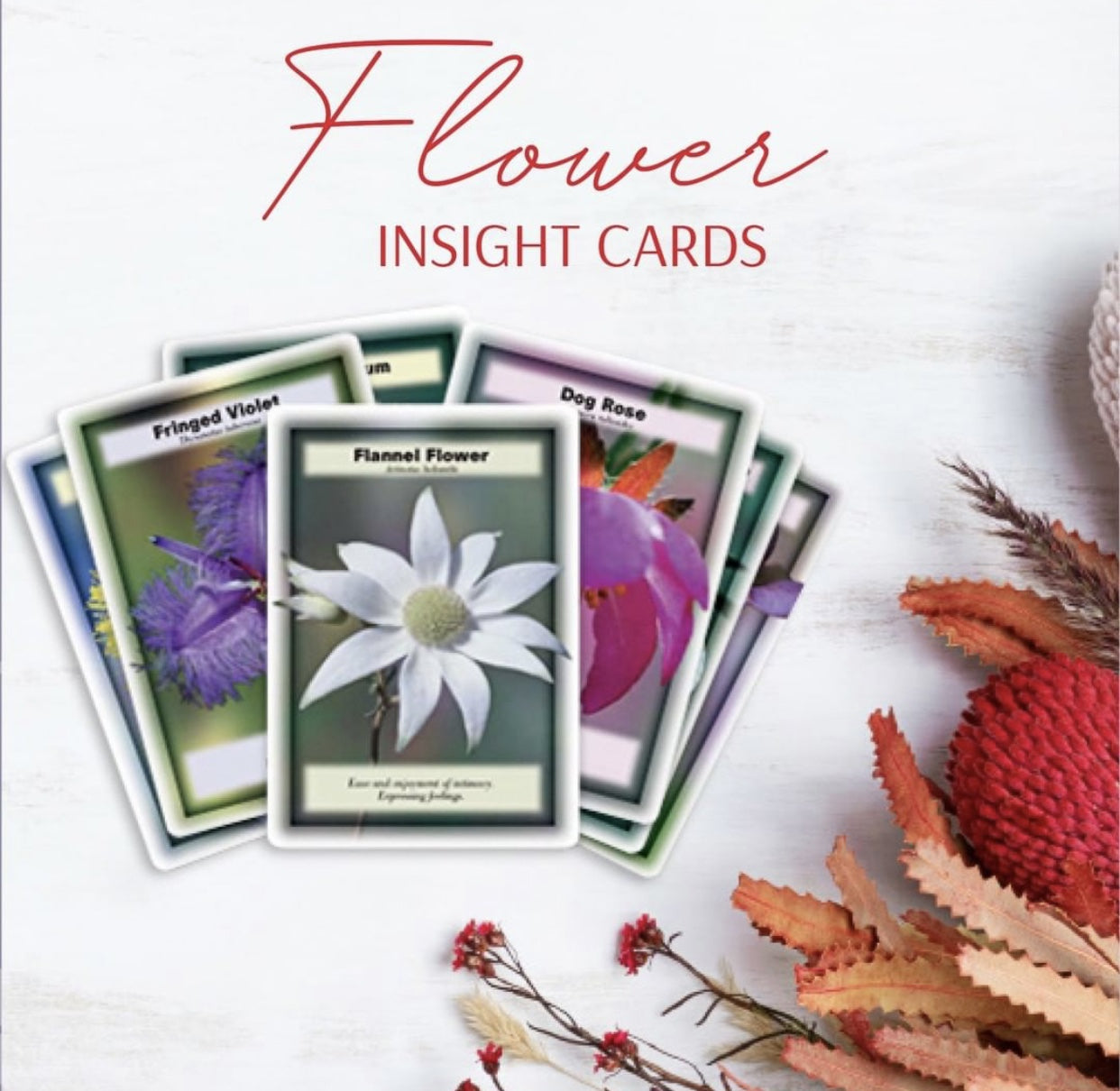 Cartes de perspicacité des fleurs sauvages australiennes