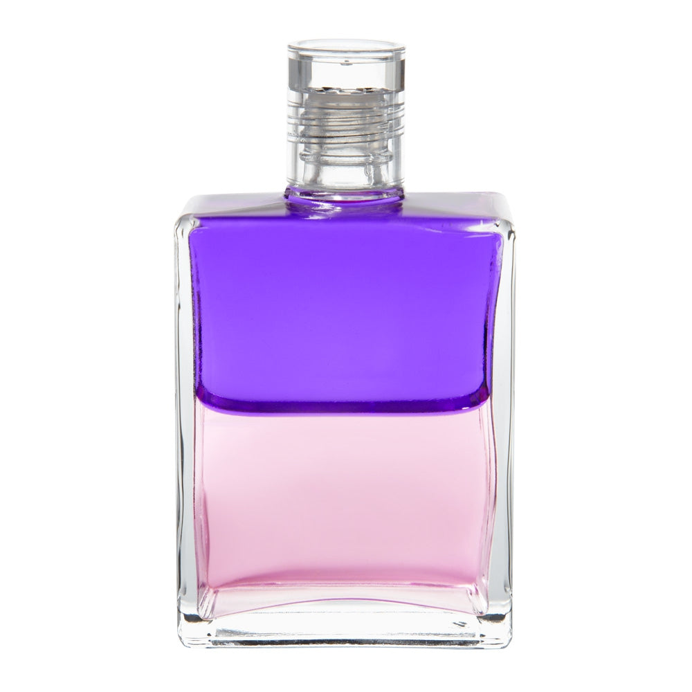 B36 Charité - Violet / Rose