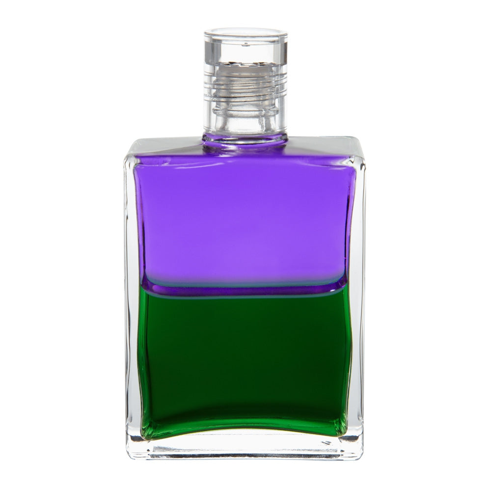 B38 Troubadour n° 2 Insight - Violet / Vert