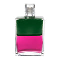 B46 Le Vagabond - Vert/ Magenta