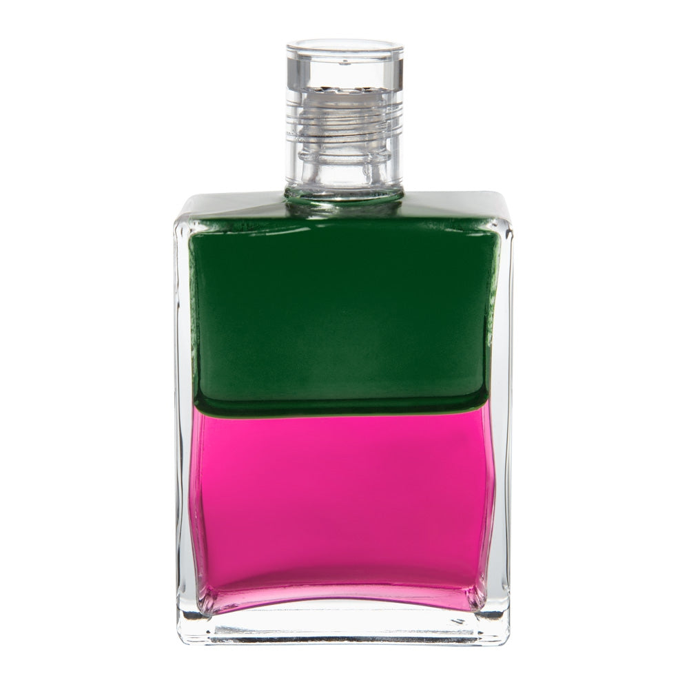B46 Le Vagabond - Vert/ Magenta