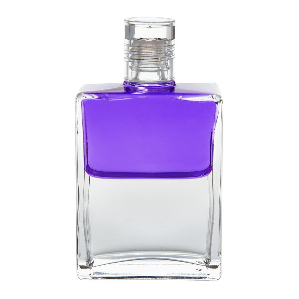 B48 Wings of Change - Violet/ Clair