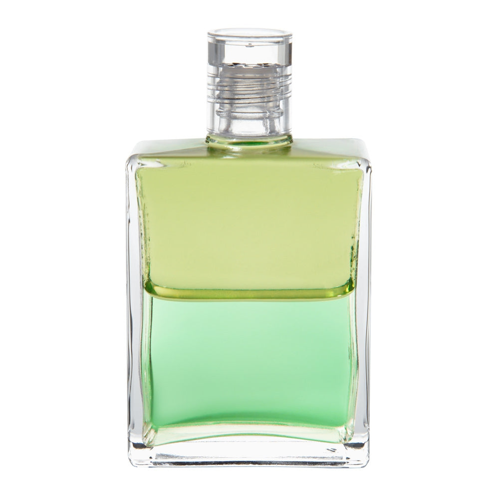 B53 Hilarion - Vert pâle / Vert pâle