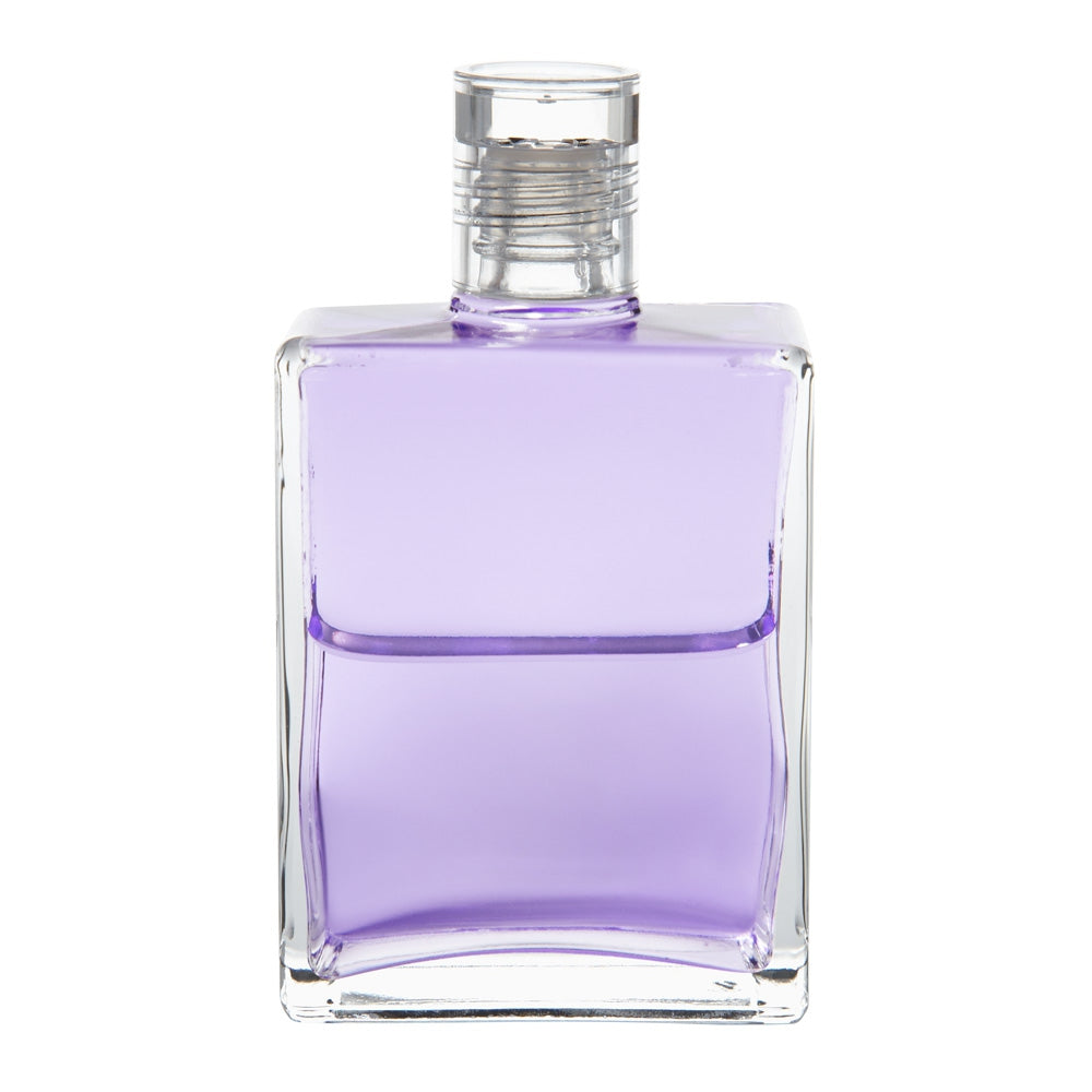 B56 Saint Germain - Violet pâle/ Violet pâle