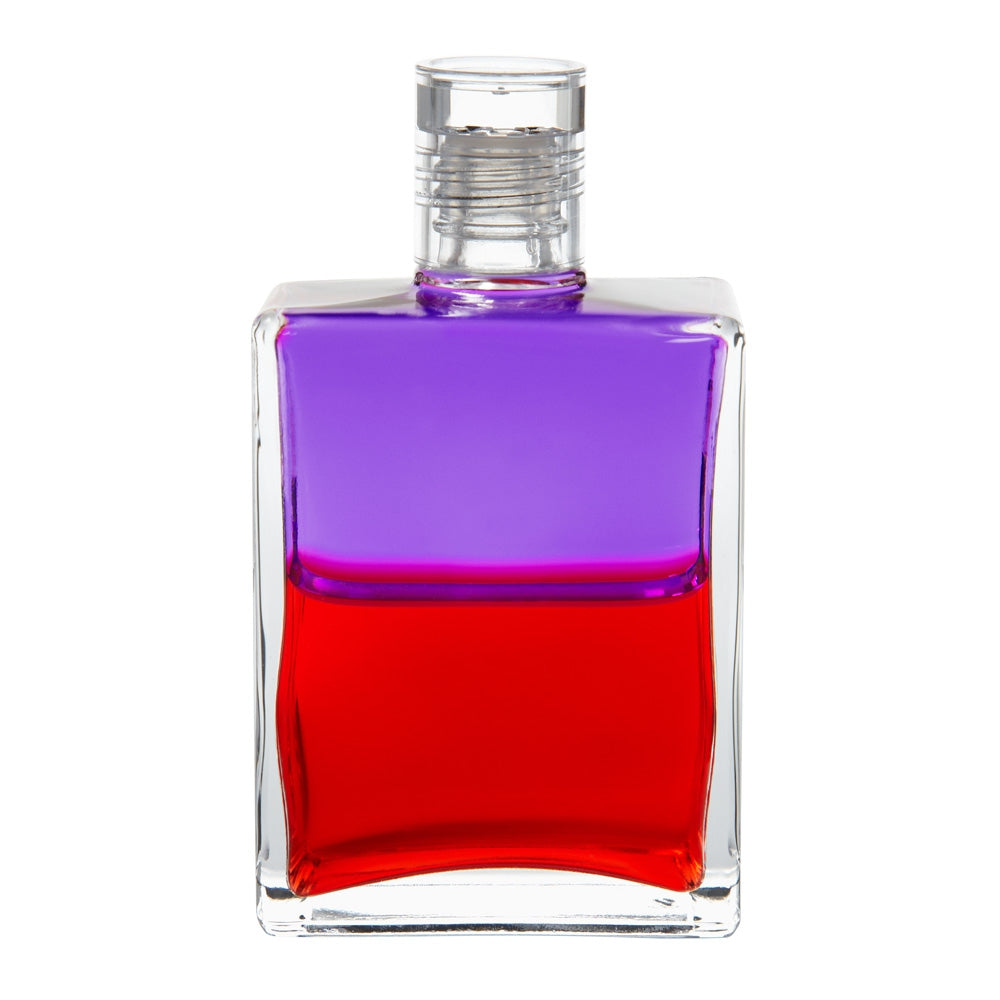 B65 La Tête dans les Nuages et les Pieds sur Terre - Violet/Rouge