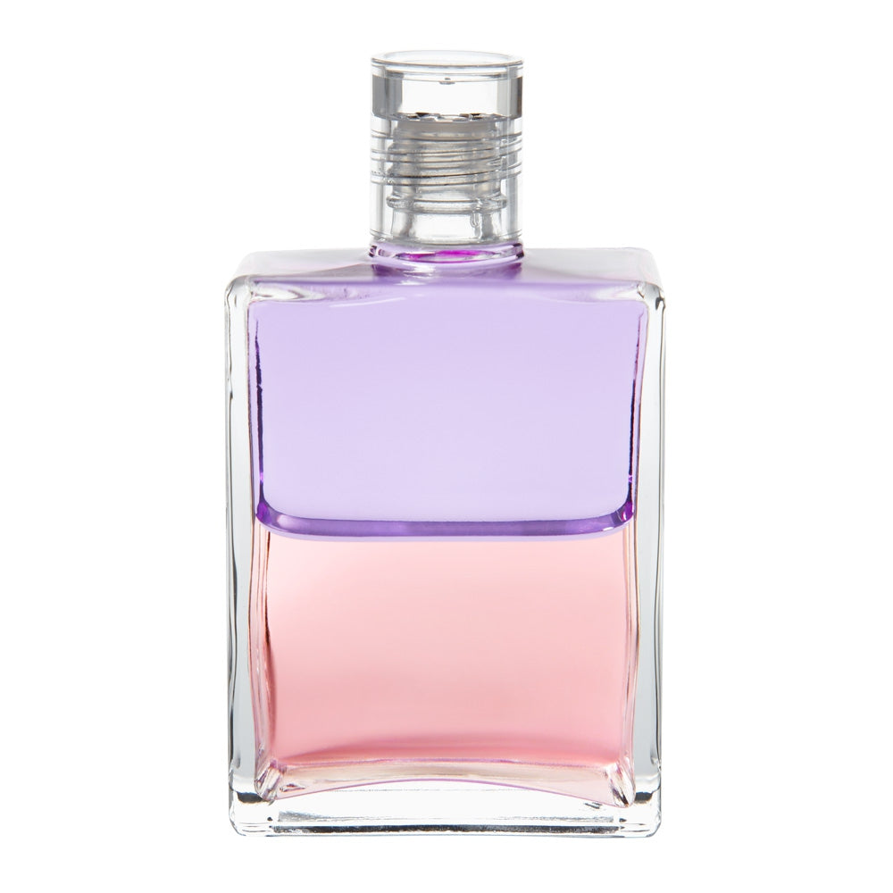 B66 L'Actrice - Violet pâle/ Rose pâle