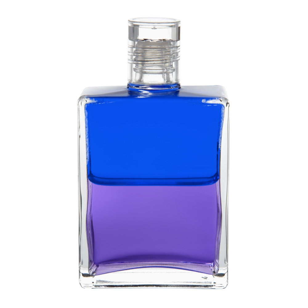 B68 Gabriel - Bleu/ Violet