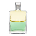 B74 Triomf - Jaune clair/ Vert clair