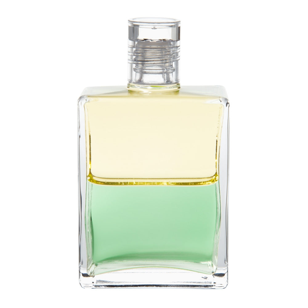B74 Triomf - Jaune clair/ Vert clair