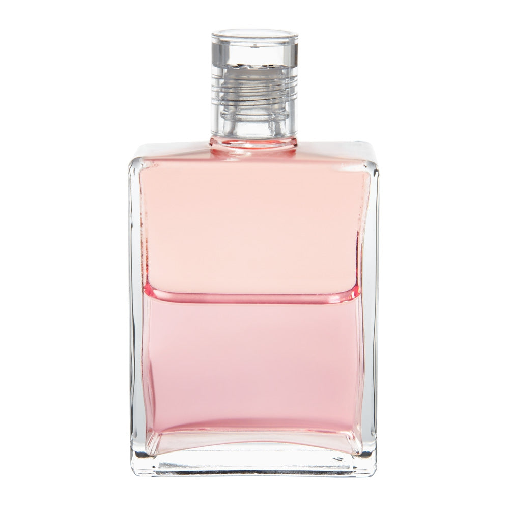 B81- Amour inconditionnel - Rose/ Rose