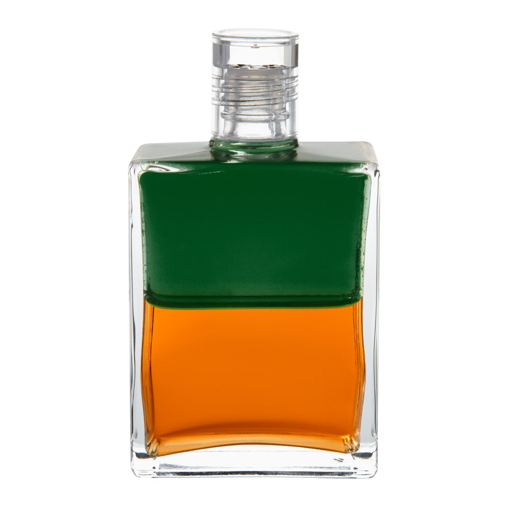 B82 - Calypso - Vert/ Orange