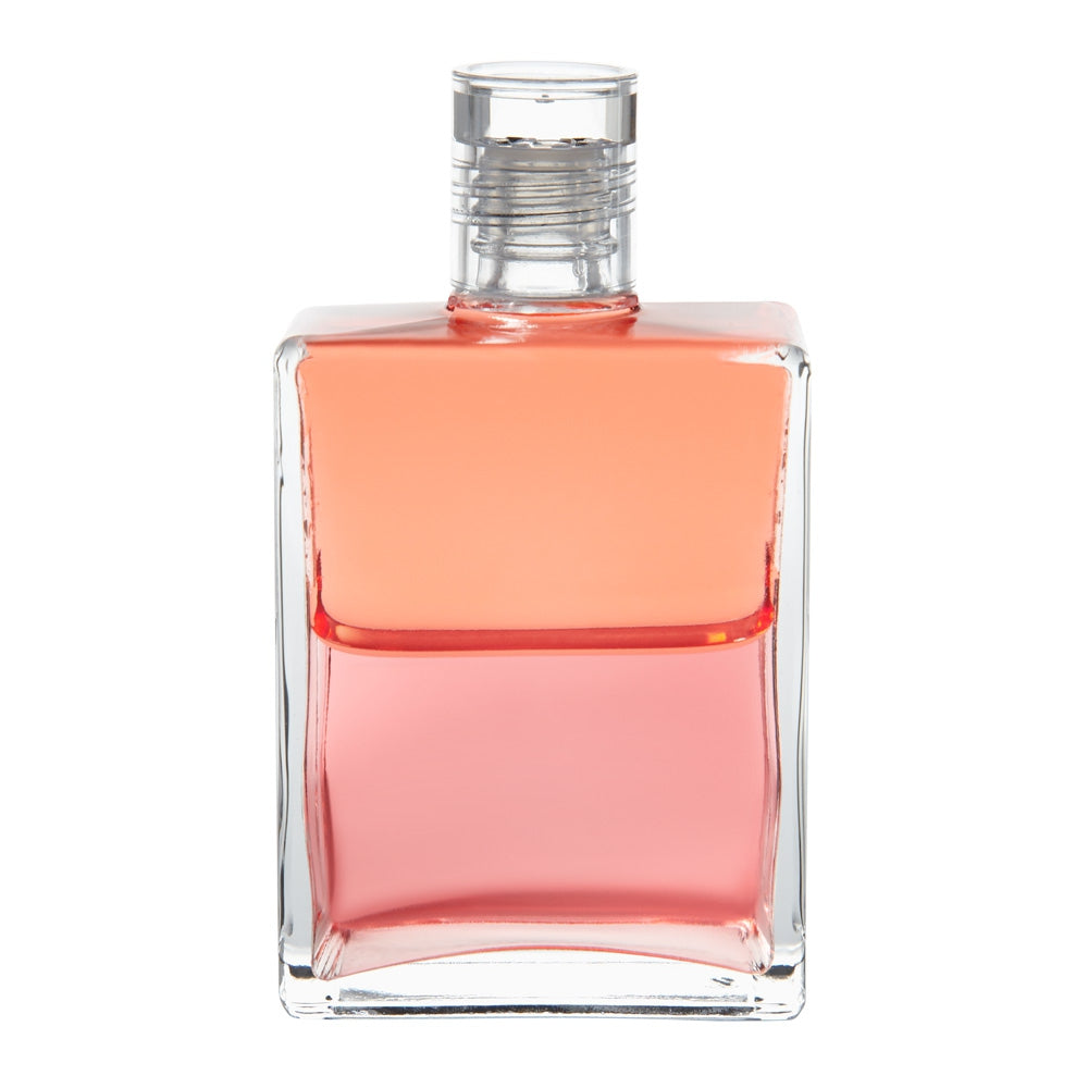 B87 Amour Sagesse - Corail/ Corail