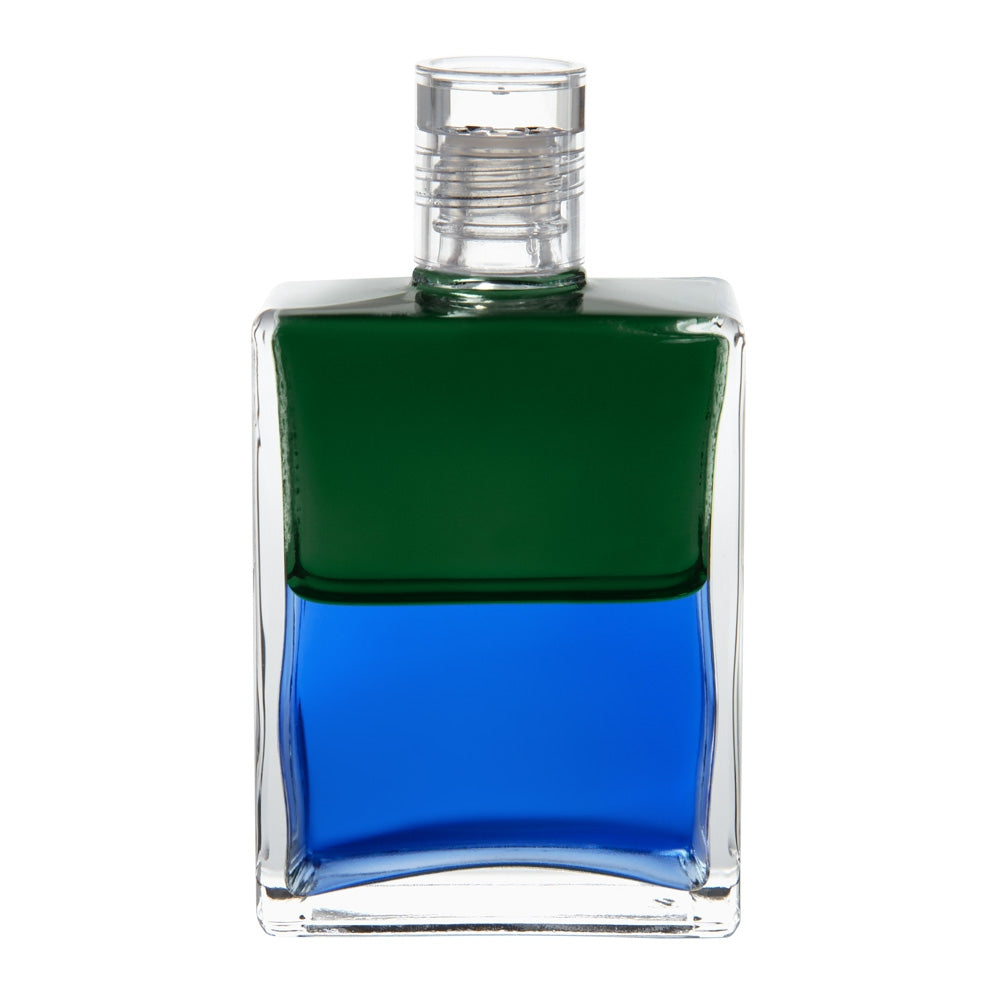 B88 - De Oude Keizer - Vert/ Bleu