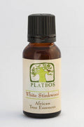 Platbos White Stinkwood - Arbre de Lumière - Boom van licht