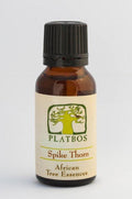 Platbos Spike Thorn - Arbre de la Bienveillance - Boom van liefdevolle Vriendelijkheid