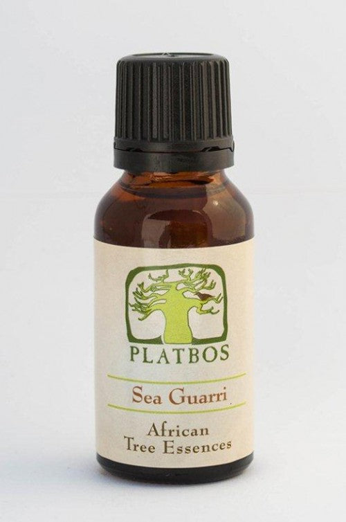 Platbos Sea Guarri - Arbre d'inspiration - Boom van Inspiratie