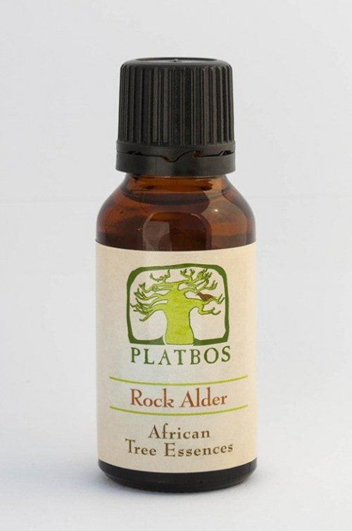 Aulne des rochers de Platbos - Arbre de béatitude - Arbre de bénédiction