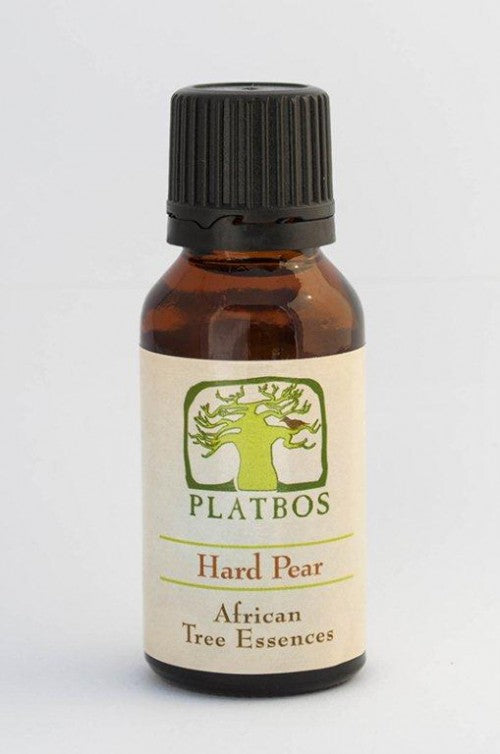 Platbos Hard Pear - Arbre du Pardon - Boom van Vergeving