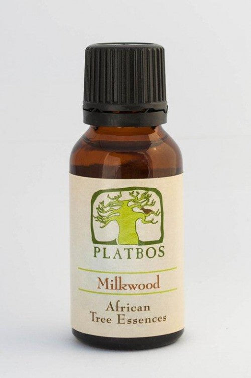 Platbos Milkwood - Arbre de l'Intégrité - Boom van Heelheid