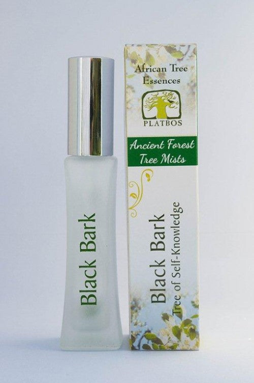 Black Bark Tree Mist - Tree of Self Knowledge - Arbre de la Connaissance de Soi