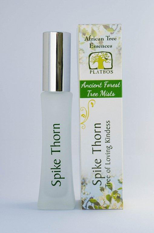 Spike Thorn Tree Mist - Arbre de l'amour bienveillant - Boom van Liefdevolle Vriendelijkheid