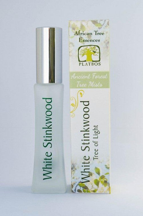 Brume d'arbre White Stinkwood - Arbre de Lumière - Boom van Licht