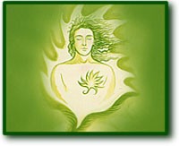 Hilarion Quintessence - Vert clair Q04