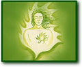 Hilarion Quintessence - Vert clair Q04