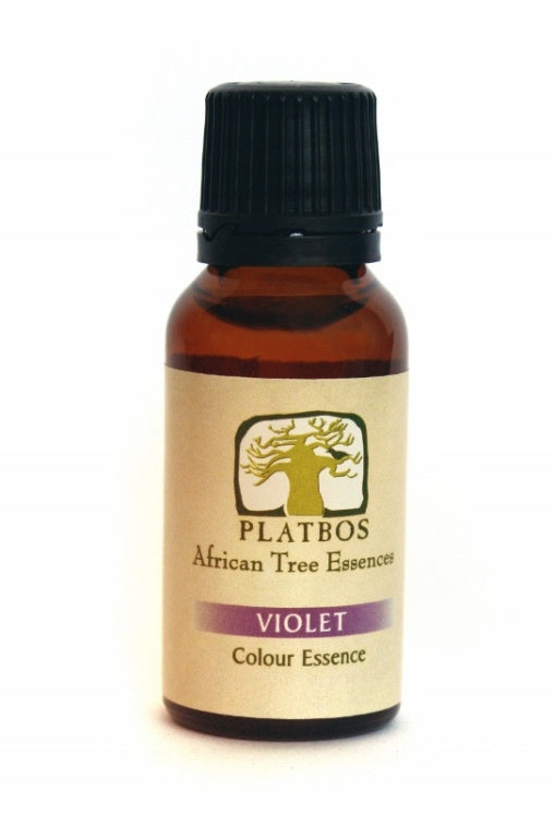 Quintessence florale Violet (Platbos)