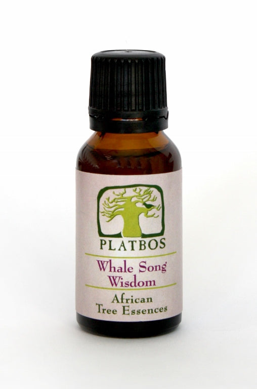 Quintessence Platbos Chant de Baleine Sagesse