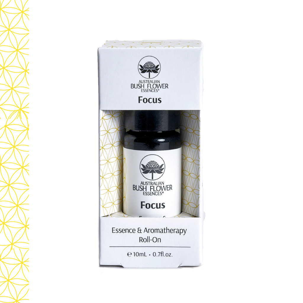 Roll-On Focus - Remède pour la concentration et Aromathérapie