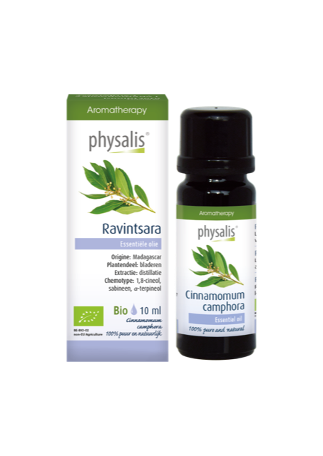 Ravintsara - Physalis