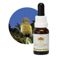 Banksia Robur